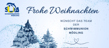 Frohe Weihnachten 2025